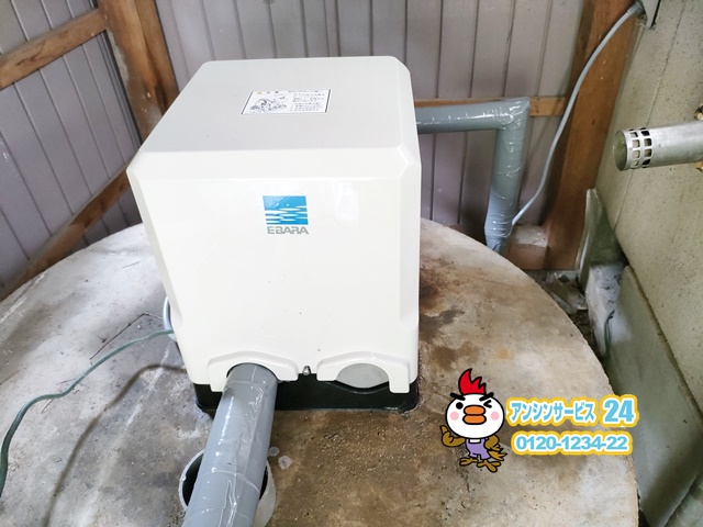 荏原製作所20HPE0.15S